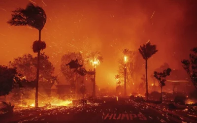 Apocalisse a Hollywood: Los Angeles in ginocchio di fronte alla furia del fuoco